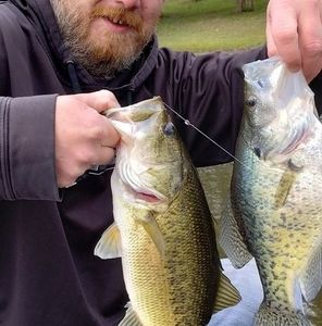 Meet your Posher, Jeffrey